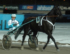 Foto: Annika Lindblom, Travkompaniet